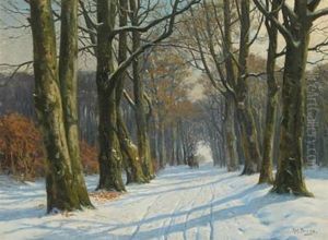 Wintry Forest Wintry Forest