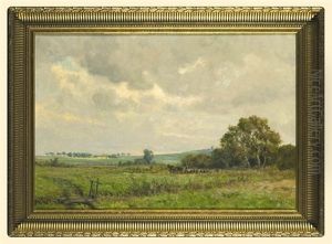 Summer Landscape Summer Landscape