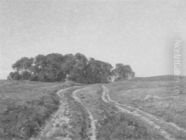 The Cart Path Through The Meadow - view 1