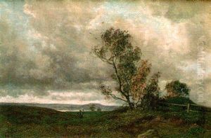 Paisaje Paisaje