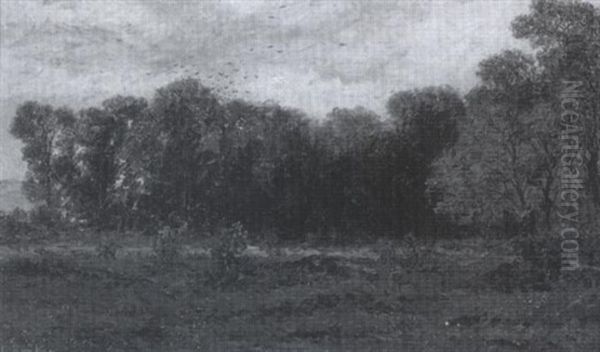 Waldlichtung - view 1