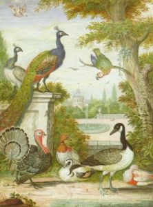 Zwei Pfauen, Ein Papagei, Eine Gans, Ein Truthahn, Enten Und Andere Vogel In Einem Scholsharten by Johannes Bronkhorst
