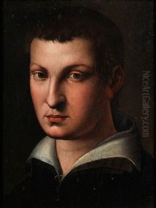 Kopf Eines Junglings by Agnolo Bronzino