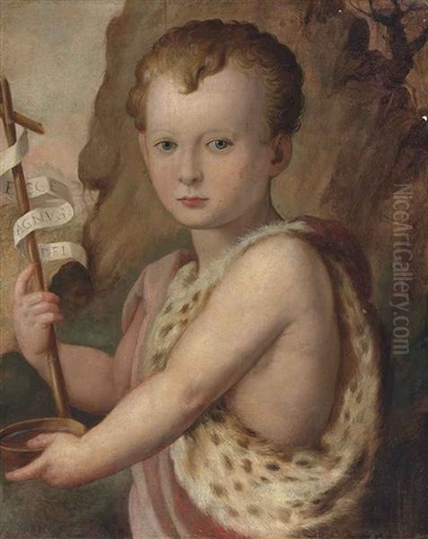 Portrait Of A Young Boy, Traditionally Identified As Ferdinando De Medici, As The Infant Saint John The Baptist - view 1
