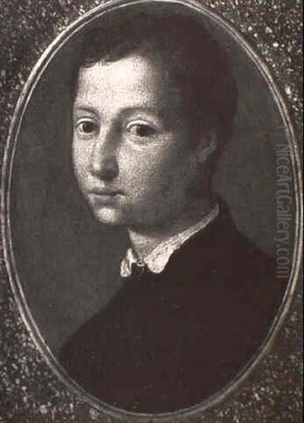Portrait Of The Young Ferdinand De Medici - view 1