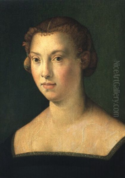 Portrait Of A Lady - view 1