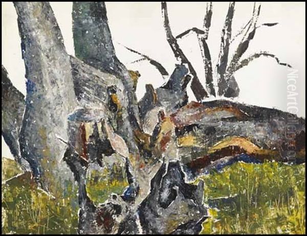 Tree Trunks - view 1