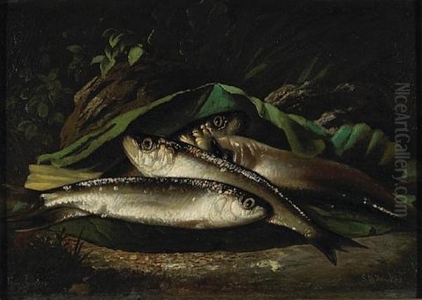 Fish - view 1
