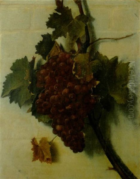 A Still Life Of Grapes On The Vine - view 1