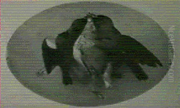 Still Life Of Birds - view 1