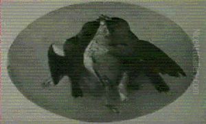 Still Life Of Birds by Samuel Marsden Brookes