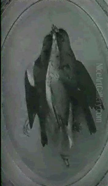 Still Life Of Birds - view 1