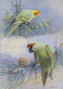 Carolina Parakeet And Thick Billed Parrot by Allan Brooks