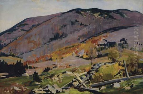 Vermont Mountainside - view 1