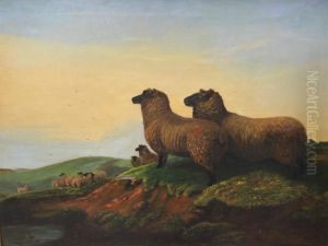 Sheep On A Moor by Charles John Allen