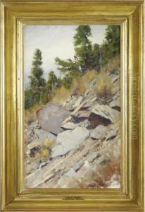 Rock Slide by Charles John Allen