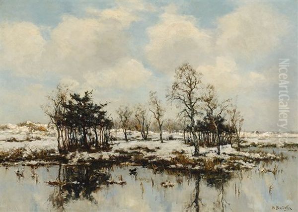 Landscape - view 1