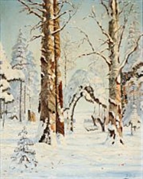 Quiet Winter Day In A Russian Forest - view 1