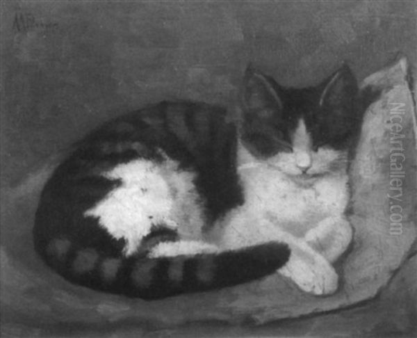 Kitten Sleeping On A Cushion - view 1