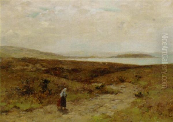 The Moorland Above Helensburgh - view 1