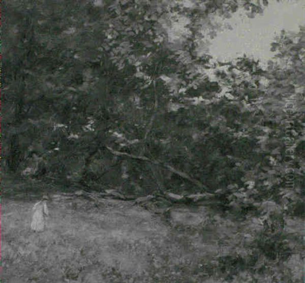 Bluebell Dell - Rosneath - view 1