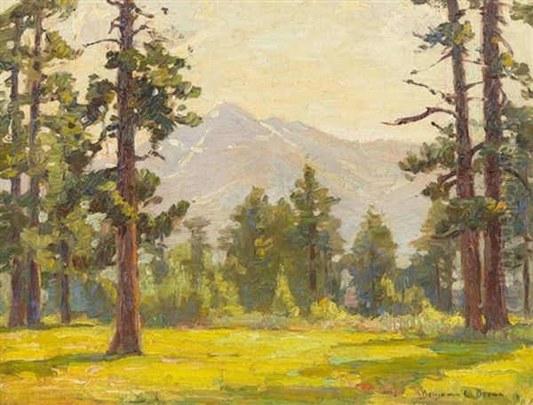 Mt. Tallac, Lake Tahoe Region - view 1