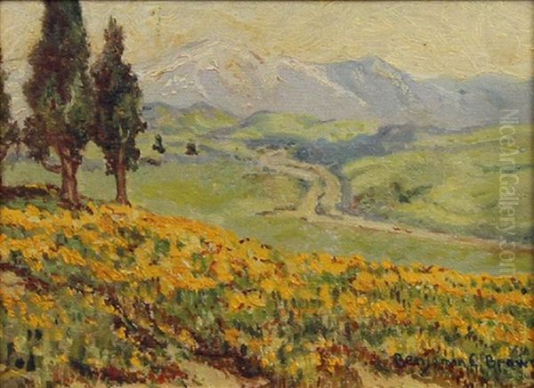 Mountain Vista With Wildflowers - view 1