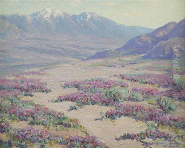Wild Verbena - view 1