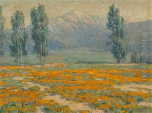 Golden Poppies Near Mount San Jacinto, California