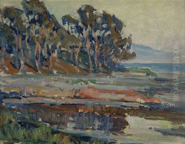 Coastal Scene With Trees - view 1