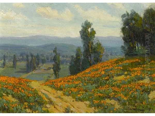 Poppies Near Pasadena, California - view 1