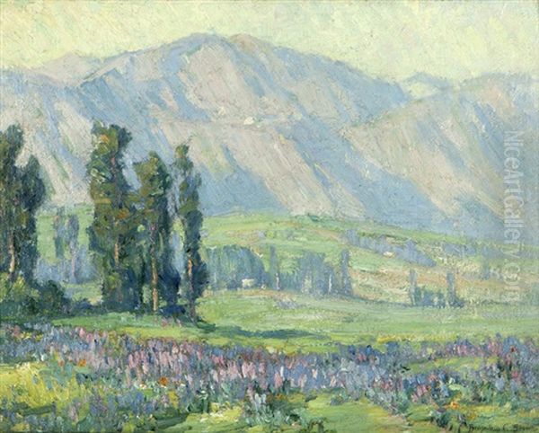 Mount Lowe And Lupines - view 1