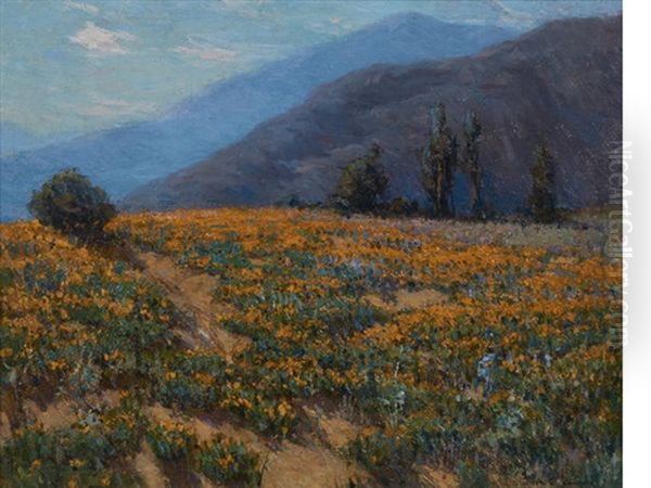 Poppies Near Pasadena - view 1