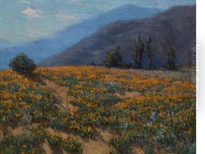 Poppies Near Pasadena