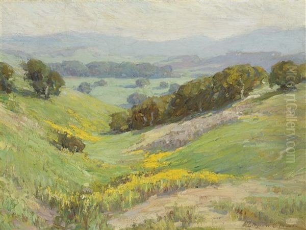 Landscape (wildflowers On Rolling Hills) - view 1