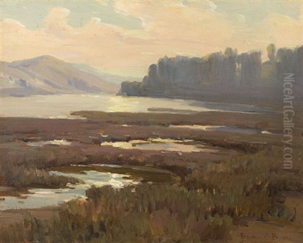 Sunset Over A Wooded Marsh - view 1
