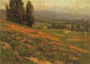 Pasadena Poppies With Mount Baldy In The Distance