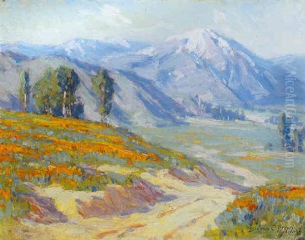 Golden Poppies (a View Of Mt. Baldy) - view 1