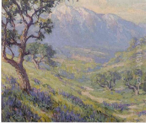 Wild Lupins, Mt. Sanantiono, San Gabriel Valley, California - view 1
