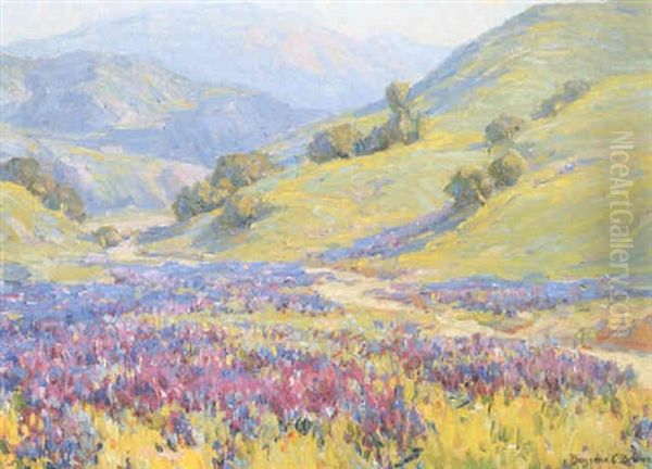 Lupin, Santa Paula Canyon - view 1