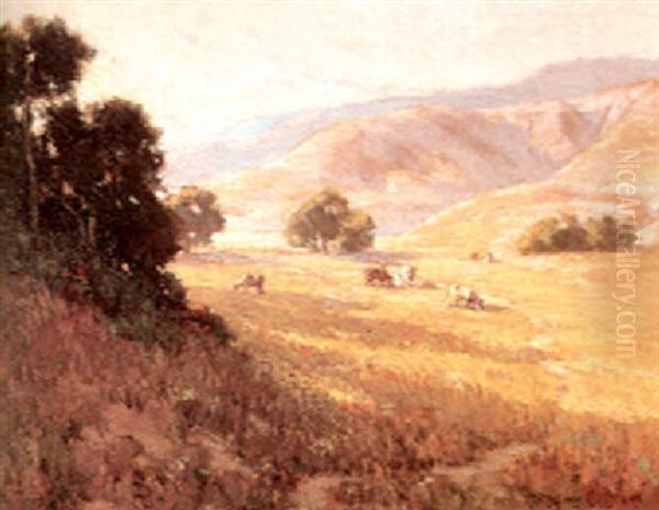 Golden Afternoon, San Geronimo Foothills, Marin County, California (no.b10) - view 1