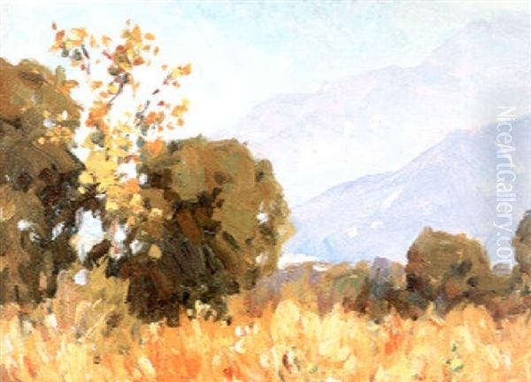 Near Arcadia California - view 1