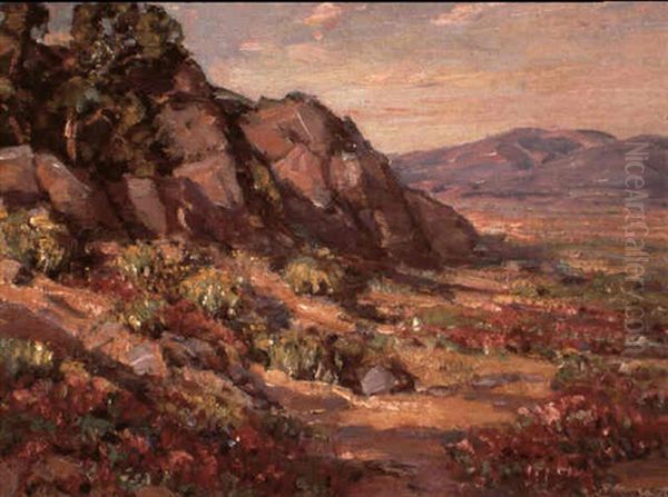 Wildflowers - view 1