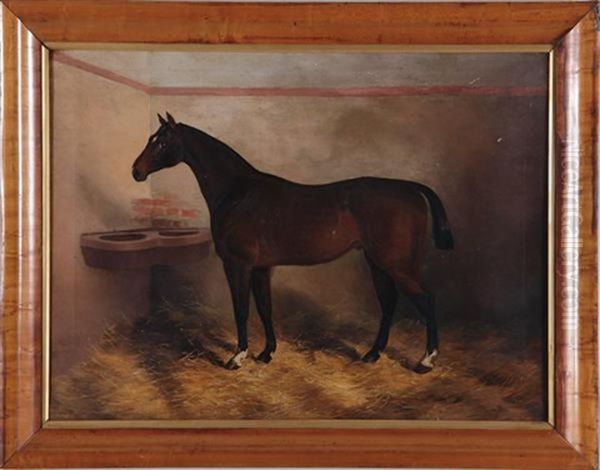 Bay Horse In Stable - view 1