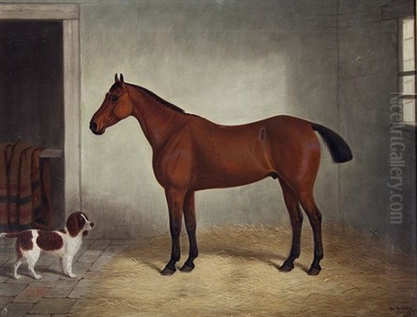 Portrait Of A Chestnut Hunter In A Stable Interior With A Spaniel Beside - view 1