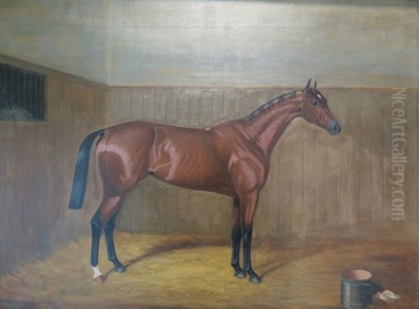Cheval Au Box - view 1