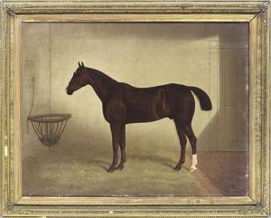 A Bay Hunter In A Stable by Edward (of Coventry) Brown