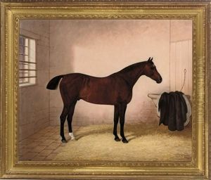 A Bay Horse In A Stable by Edward (of Coventry) Brown