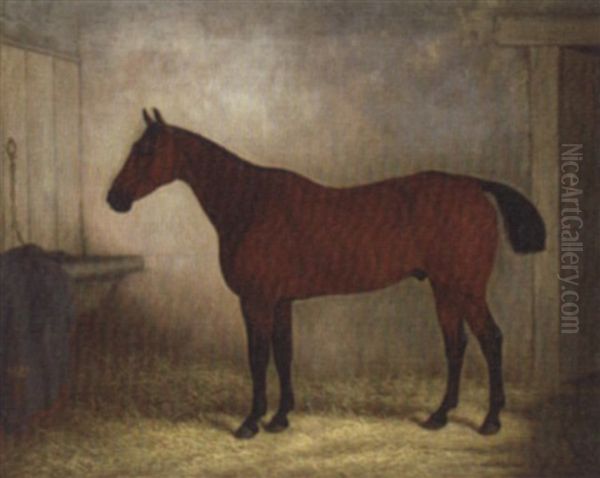 A Bay Hunter In A Stable - view 1