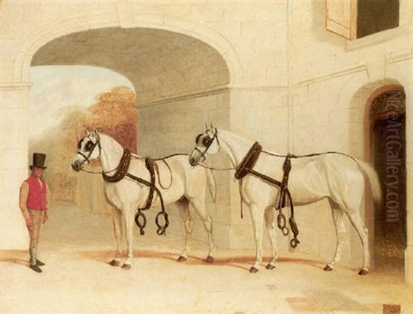 Two Carriage Horses In A Stable - view 1